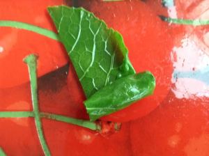 dd48fb80-a802-457b-a71d-3776a057626c