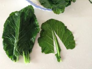 e5e830c0-e9e3-436a-828f-e9f8b9e07651