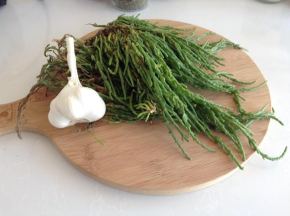 d8fabae7-a955-46c0-a5d7-7c33a766df11